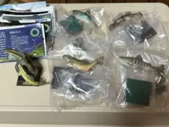 ネイチャーテクニカラー　日本の清流
