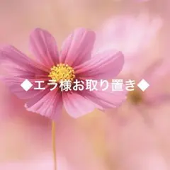 ◆エラ様お取り置き◆