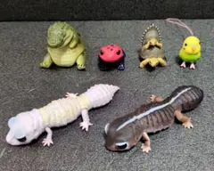 いきもの大図鑑レプティ レオパードゲッコー色々セット