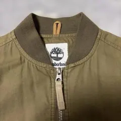 Item thumbnail for item 695a9330-01db-4366-a638-698809ce36eb