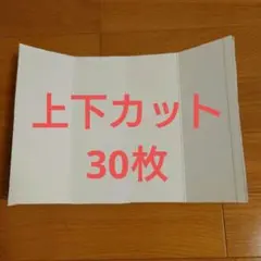 Item thumbnail for item 72ee8f56-eebb-4f50-bbd6-5370888134af