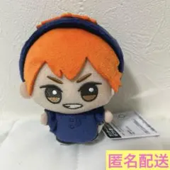 ハイキュー!! ちびぐるみ アニマルポンチョ vol.1 日向翔陽