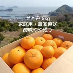 【家庭用】せとみ 5kg 山口県周防大島産 農家直販 土壁貯蔵(今年酸やや残り)
