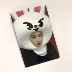 StrayKids スキズ MAXIDENT トレカ JYP SKZOO リノ