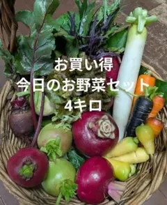 新鮮な色々野菜10種類セット約4キロ　大容量野菜80サイズ　栽培期間中無農薬