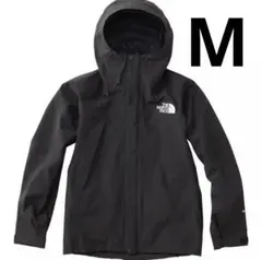THE NORTH FACE マウンテンジャケット ノースフェイスNP61800
