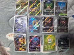 ぱ*る様 ポケモンカードゲーム AR まとめ売り - メルカリ