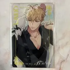 最安値⭐︎ NUカーニバル ケシー エイト チェンジングカード 第二弾