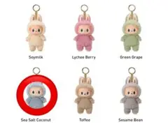 ラブブ　マカロン　Sea Salt Coconut