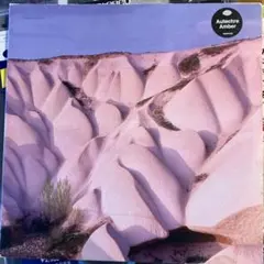 2026年最新】autechreの人気アイテム - メルカリ