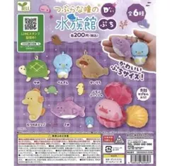 YELL つぶらな瞳の水族館 ぷち D すいそう 全6種 ガチャ