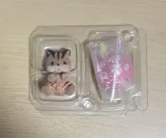 くるみリスの赤ちゃん