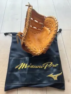 Item thumbnail for item 6cf35c8d-4fc8-47ff-ac88-b37835e77f23