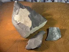 ez7777様 リクエスト 3点 まとめ商品