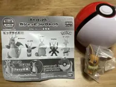 ポケットモンスター　ガチャっとコレクト05 イーブイ