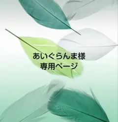 あいぐらんま様専用ページ