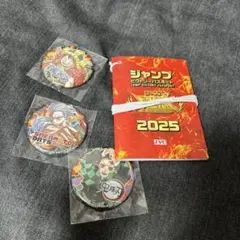 2025年最新】ジャンプ ビクトリーパスポートの人気アイテム - メルカリ