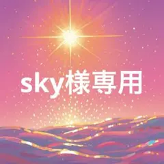 sky様専用