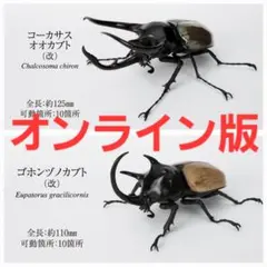 いきもの大図鑑 かぶとむし10 コーカサスオオカブト ゴホンヅノカブト