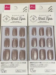 DAISO Nail Tips マグネットピンク2箱 新品未使用品①のサムネイル