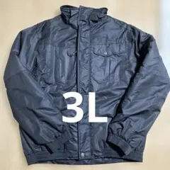 Item thumbnail for item 235cfa8a-d51e-46e7-be14-43122478c3c2