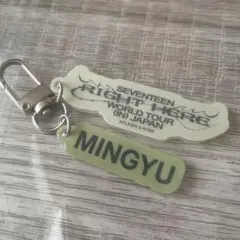 【新品未開封】SEVENTEEN RIGHT HERE ワッペン ミンギュ 2025年最新】seventeen ワッペン ミンギュの人気アイテム - メルカリ