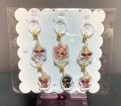 めじるしアクセサリー 6個セット