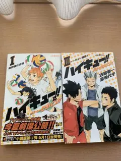 ハイキュー　小説