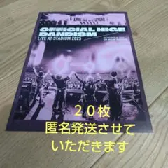フライヤー 印刷物