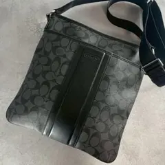 2025年最新】coach f71131の人気アイテム - メルカリ