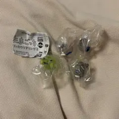 たまごっち ぷくっとクリアリング2 セット