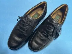 Item thumbnail for item c88a55c4-e183-40b1-b8ac-4368ad0d590f