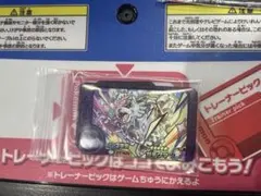 ポケモンフレンダ　ガチグマ　⭐︎おまけ付き