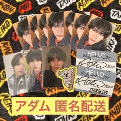 STARGLOW アダム ADAM まとめ売り