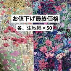 リバティタナローン　2025AW アリスズガーデン2種