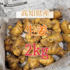 2026年最新】土付き 生姜 約10kgの人気アイテム - メルカリ