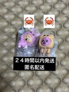 SKZOO つまんでつなげてますこっと vol.2★チャンビン　スンミン　②