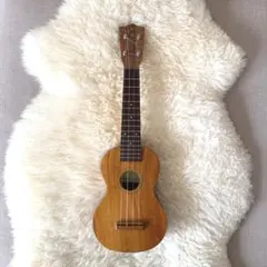 Item thumbnail for item dd8885ff-7e7f-4774-94ac-c388f0e66a50