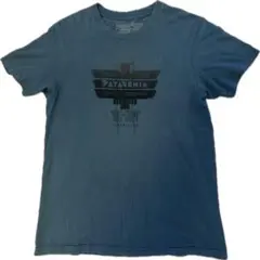 送料込み●アメリカ製PatagoniaパタゴニアオーガニックコットンTシャツM