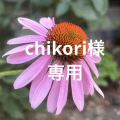 chikori様 リクエスト 2点 まとめ商品