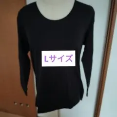 シャルレ カジュアルインナー IH021 ブラック L