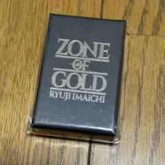 今市隆二 ドッグタグ ネックレス