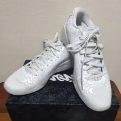 Item thumbnail for item 3b56a555-b48e-4f7c-98d9-a93576a86626