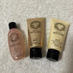 【ミニセット】アジエンス MEGURI 体験BOX シャンプー&トリートメントPのサムネイル