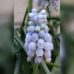 kensaku様 リクエスト 4点 まとめ商品