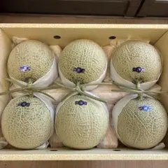 イズモ高知温室メロン 5玉入り二箱箱込み11キロ11.2キロ 高知産 温室メロン 6玉入り 箱込み約8キロ11 - メルカリ