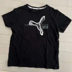 ＊shino＊様 リクエスト 2点 まとめ商品