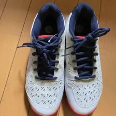 美品 Princeテニスシューズ オムニクレー24.5㎝