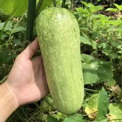 punsanimaya97様 リクエスト 3点 まとめ商品