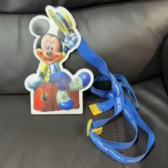 バケーションパッケージ パスケース 非売品